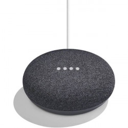 Google Nest Mini